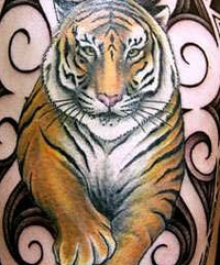 значения татуировки тигра