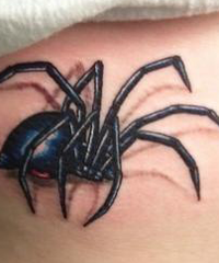 значение татуировки пауки