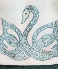 значение татуировки лебедь