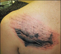 значение татуировки акулы