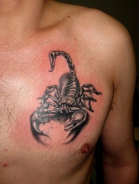 значение татуировки скорпиона