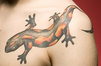 значение татуировки саламандры