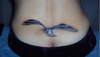 значение татуировки чайки