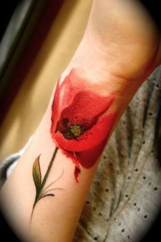 http://tattooinfo.ru/images/foto_cvetnaja_tatu_v_vide_cvetka_maka_na_predpleche.jpg