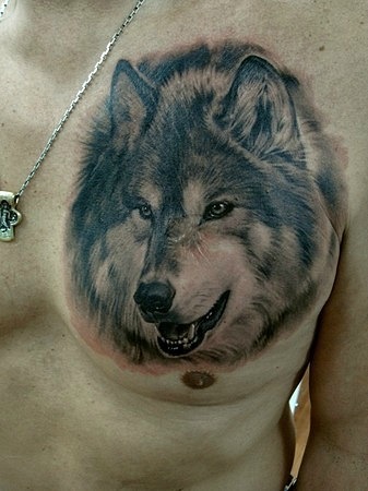 Фото и значение татуировки Волк. Foto_tatuirovka_volka_na_grudi