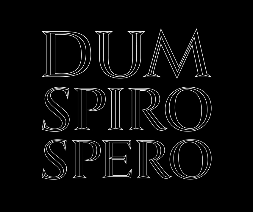 Dum spiro spero картинка