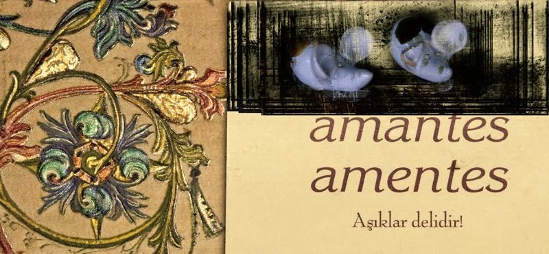 Amantes sunt amentes. Амантес сунт Аментес. Amantes AMENTES перевод. Amantes AMENTES тату. Амантес Аментес на латыни.