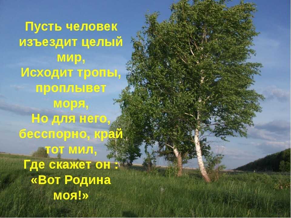 Моя гордость моя малая родина проект