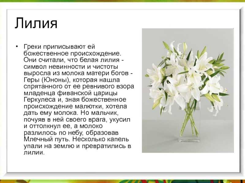 White что означает на русском языке перевод