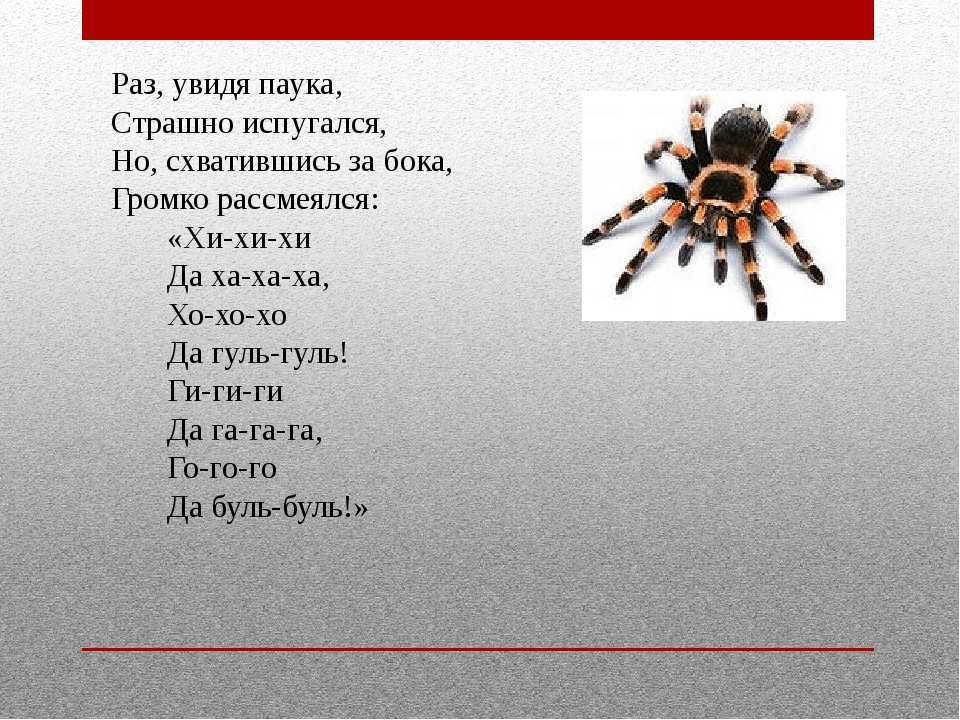 Увидеть паука на полу. Паук примета. Приметы про пауков в квартире. Пауки в доме приметы. Стих про паука.