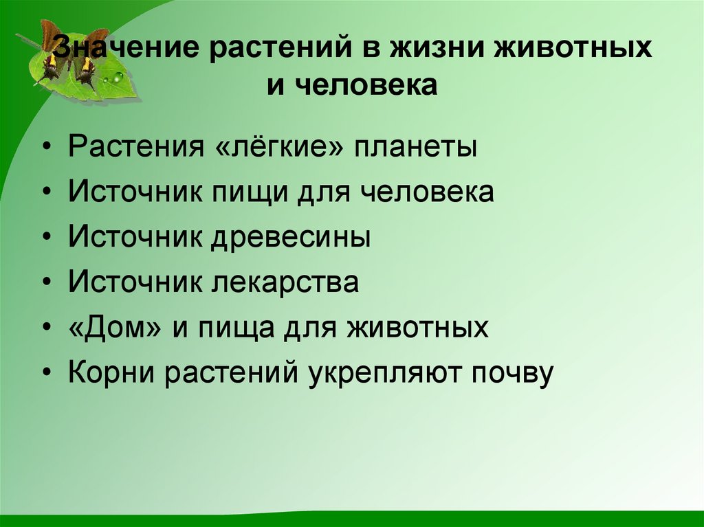 Значение животных 5 класс биология презентация. Значение растений в жизни человека. Значение растений и животных в жизни человека. Значение растений для животных и человека. Роль растений в природе.