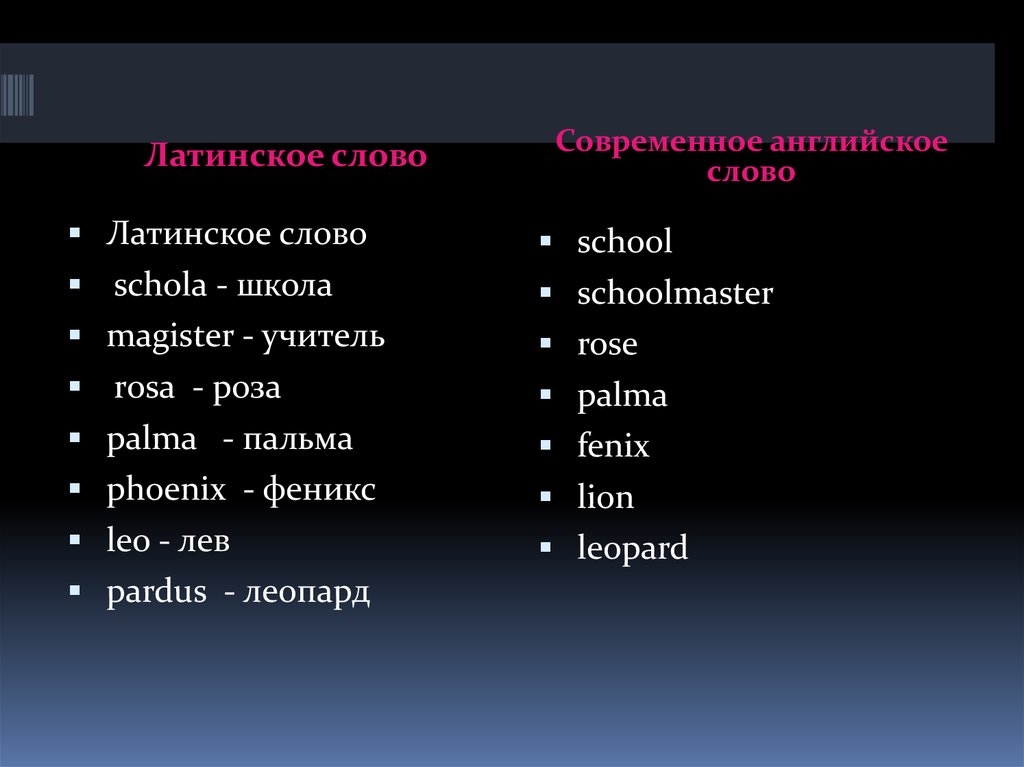 Латинские речи. Латинские слова. Слова на латыни. Латинские слова в английском. Слова по латыни.