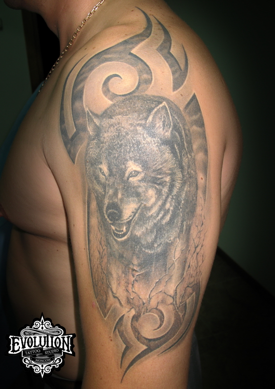 Фото тату на плече мужские волк