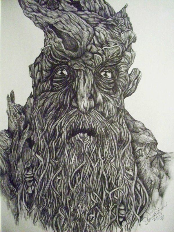 Леший рисунок. Властелин колец Treebeard. Властелин колец Древобород арт. Древобород Толкин рисунок. Хоббит Толкин Энты рисунок.