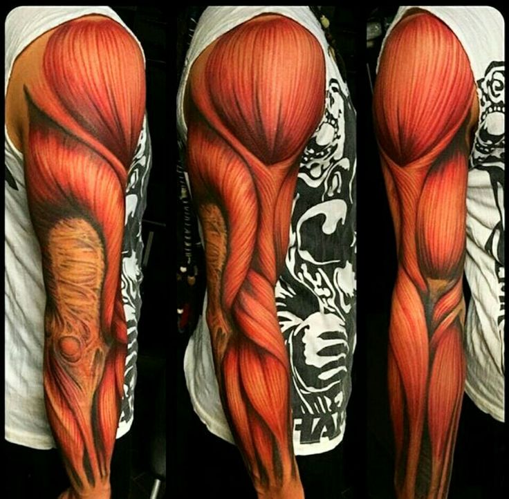 Тату анатомия: Тату салон в Москве «Анатомия». Студия татуировки и пирсинга