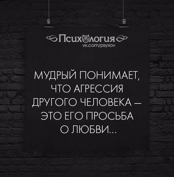 Как понять мудрая. Мудрый понимает что агрессия другого человека это его просьба о любви. Агрессия другого человека это его просьба о любви. Мудрый человек понимает что агрессия. Цитат Мудрый понимает что агрессия другого человека.