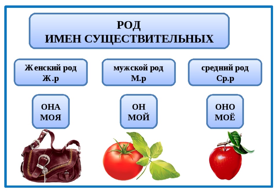 Какого рода слово обои