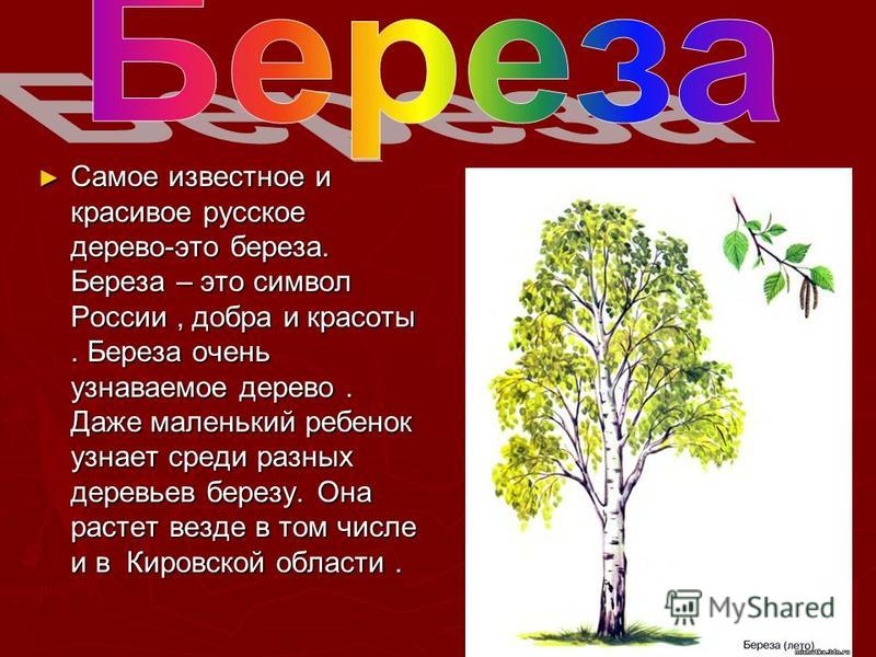 План победы дерево жизни