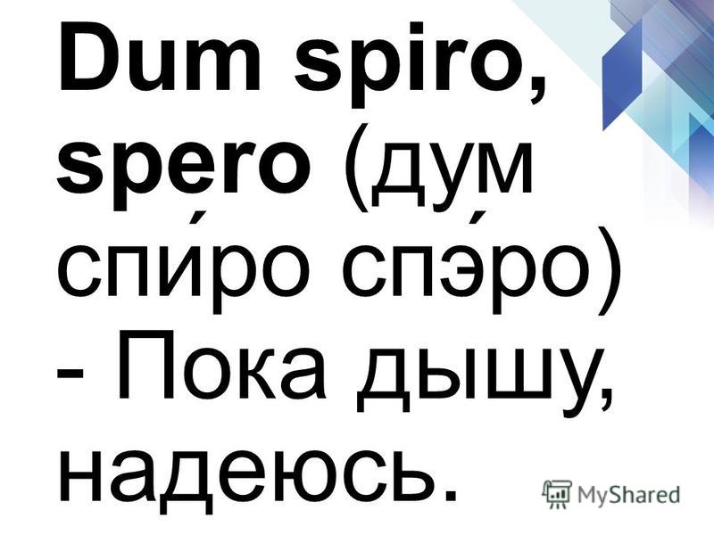 Dum spiro spero картинка