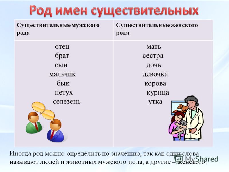 Мужской род русский язык 3 класс. Род имен существительных. Слова род имен существительных. Существительное женского рода. Имена существительные женского рода.