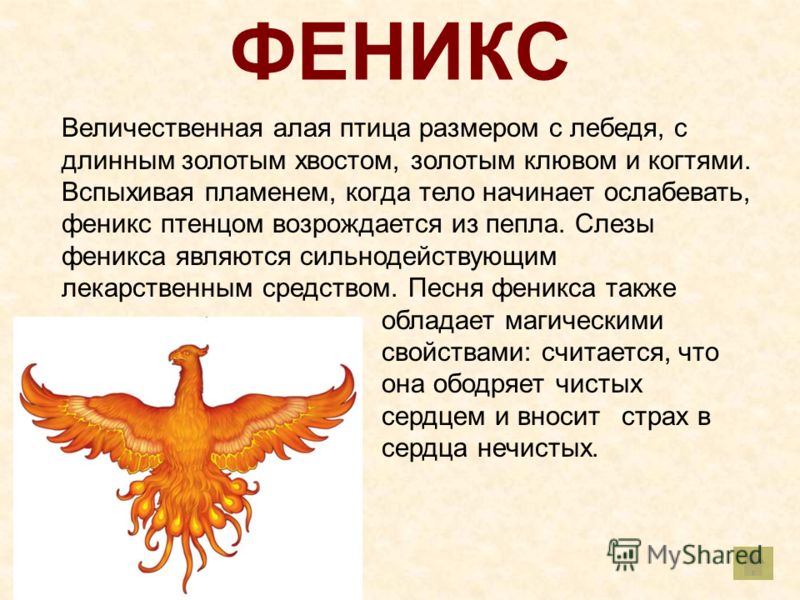 Птичка значение слова. Птица Феникс символизирует у славян. Феникс мифологическая птица. Символ птицы.
