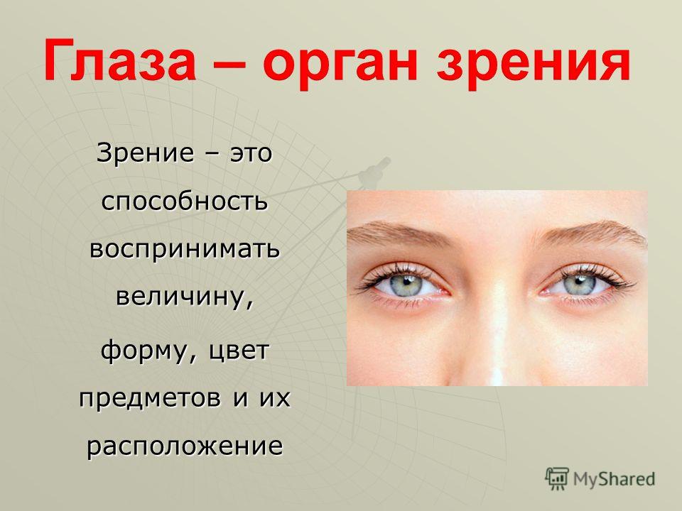 Тест по теме органы зрения. Глаза орган зрения. Органы чувств глаза. Органы чувств человека зрение. Орган зрения презентация.