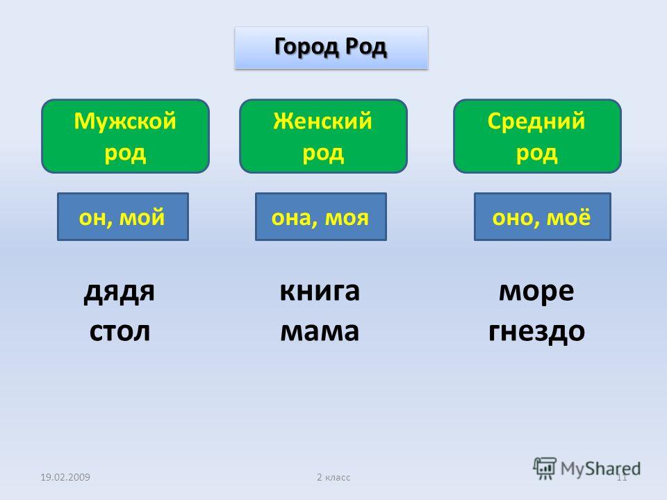 Мужской род женский род средний род картинки