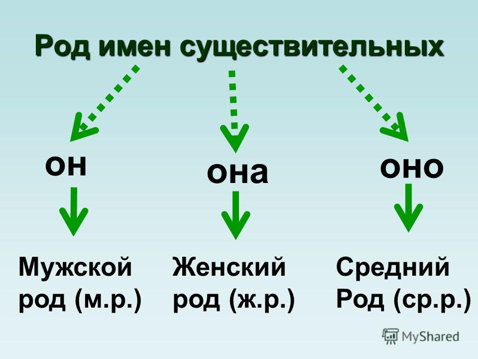 Мужской род женский род средний род картинки