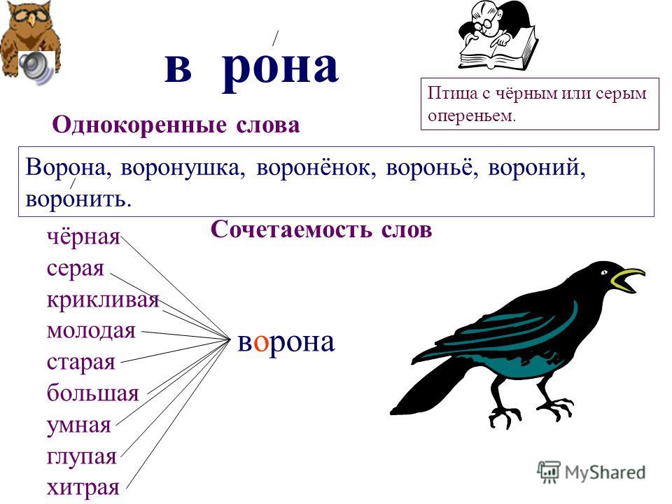 Близкие виды объединяются в один род например ворона ворон галка схема