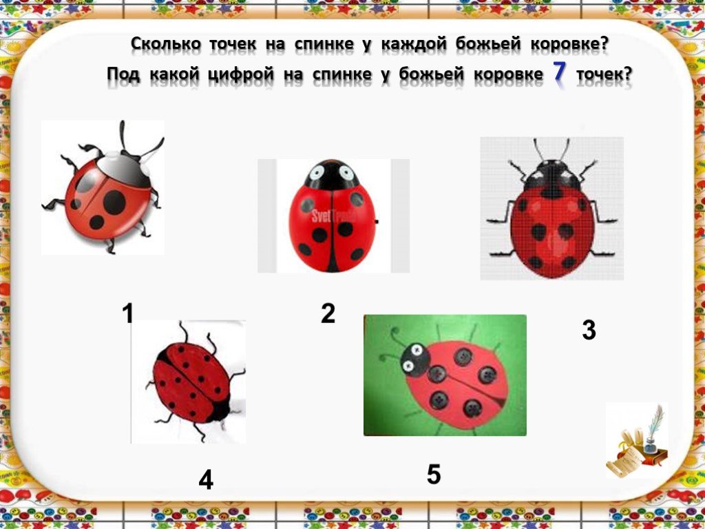 На рисунке изображены божьи коровки проживающие в двух различных местообитаниях ответы огэ