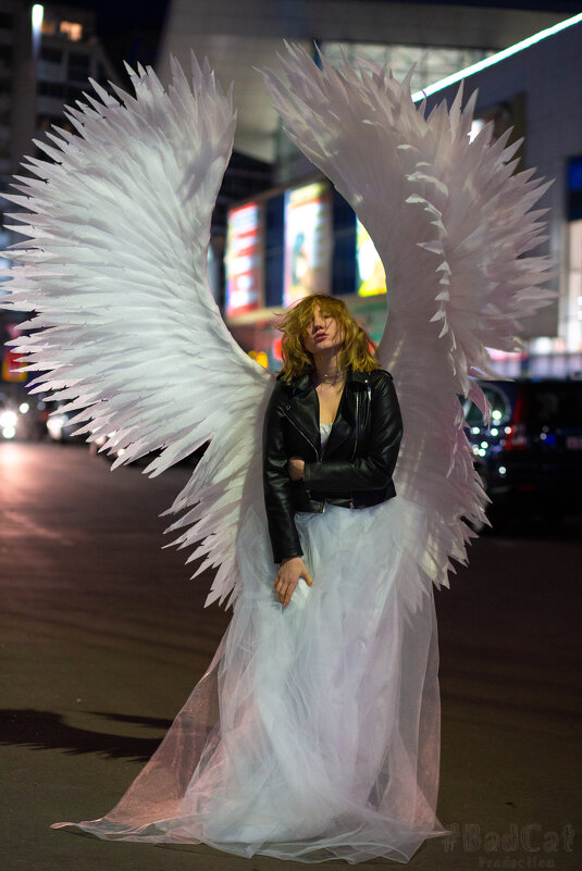 Крылья содержание. Поделка стриж. Фотозона с крыльями ангела. Запретные крылья книга. Баннер с крыльями.