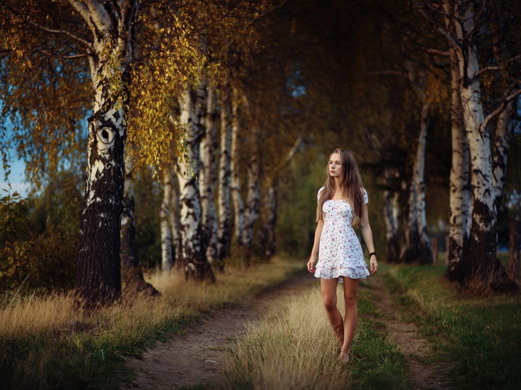 Фото девушка с деревом: девушка на дереве | Фото на дереве, Фотография