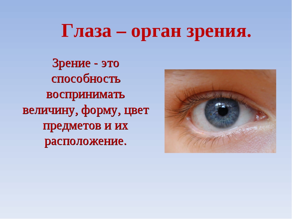 Презентация органы чувств 3 класс окружающий мир. Глаза орган зрения. Органы чувств глаза. Глаз-орган зрения презентация. Органы чувств человека глаза орган зрения.