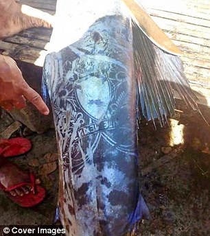 The huge blue marlin, caught in the Philippines on Friday, caught the eye of beach goers because of the coat of arms and complex leaf designs imprinted on its scales