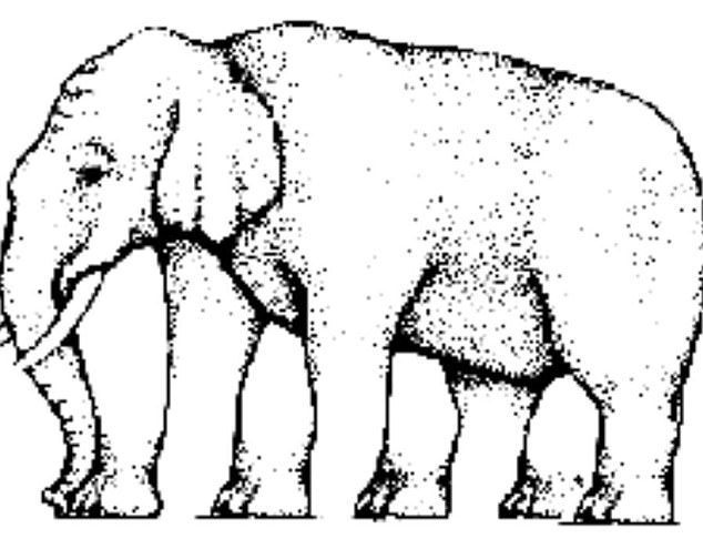 This simple sketch of an elephant is leaving people baffled after someone posted it on Reddit and asked users to figure out how many legs it has