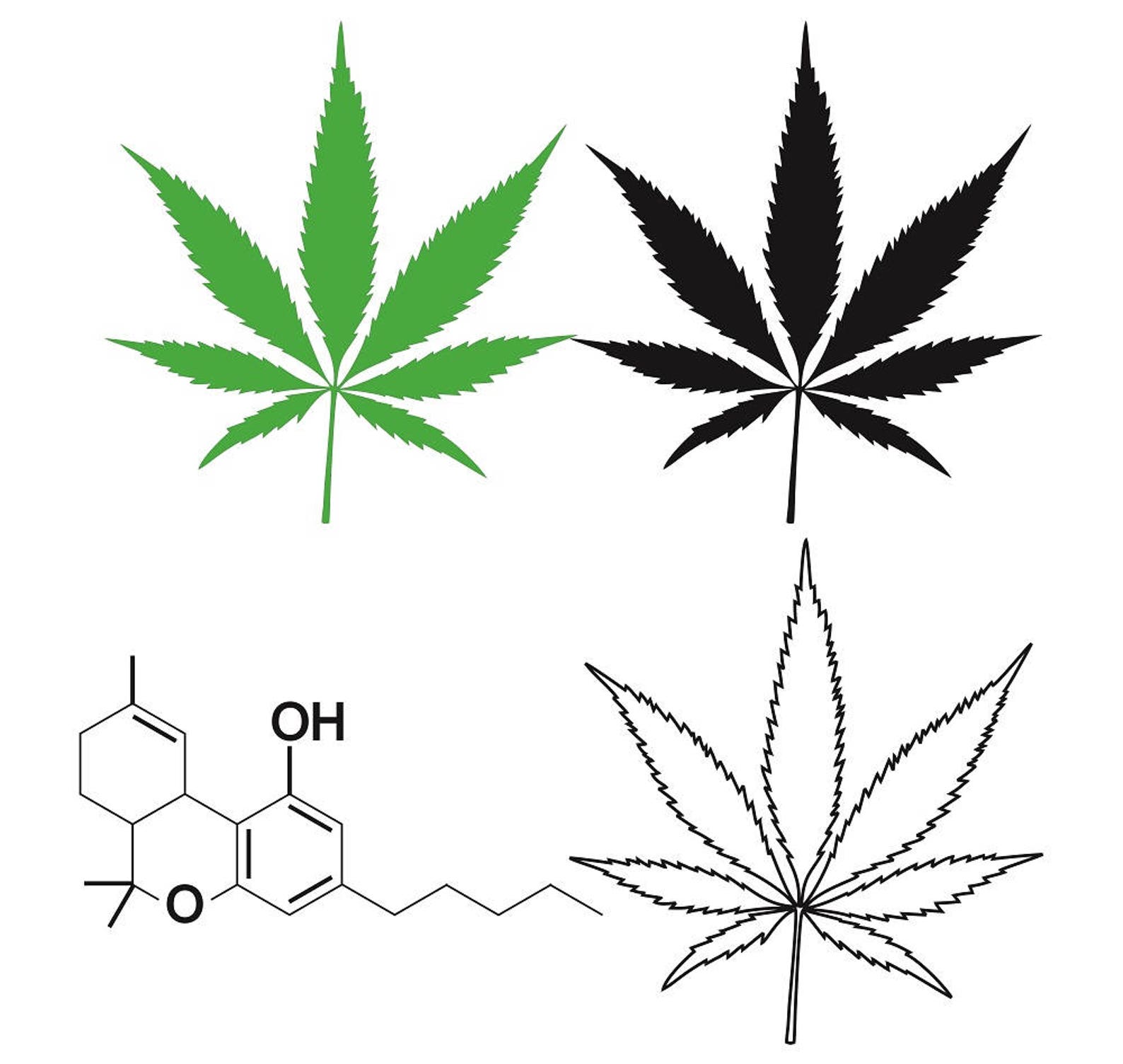 Как рисовать листик марихуаны как правильно искать в тор браузере hydraruzxpnew4af