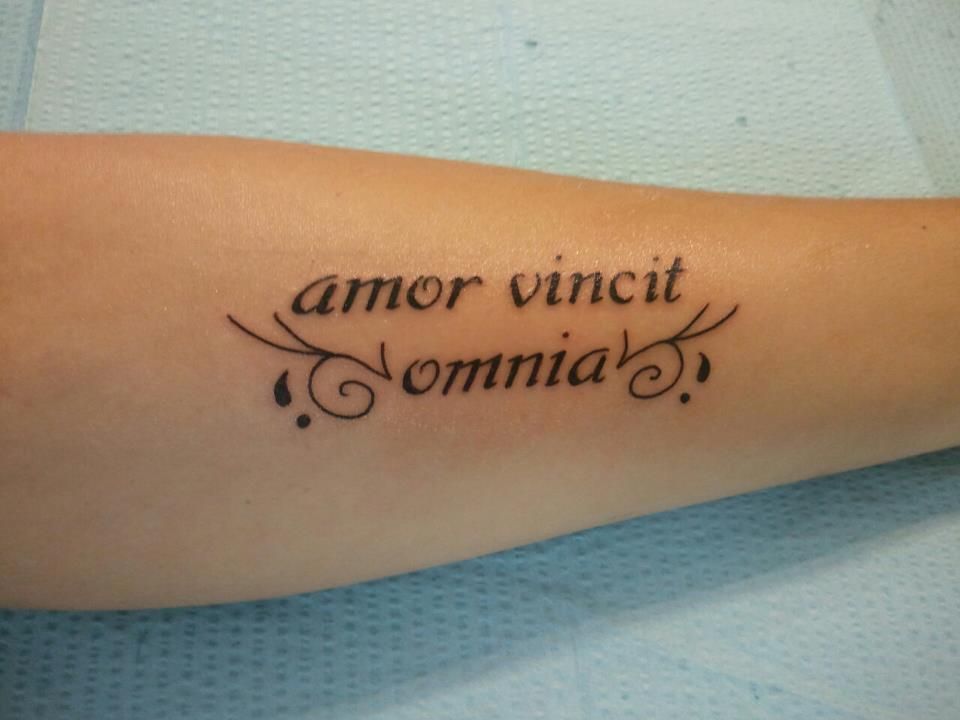 In hostem omnia licita. Тату на латыни. Татуировка Amor vincit Omnia. Татуировка надпись на латинице. Любовь на латыни тату.