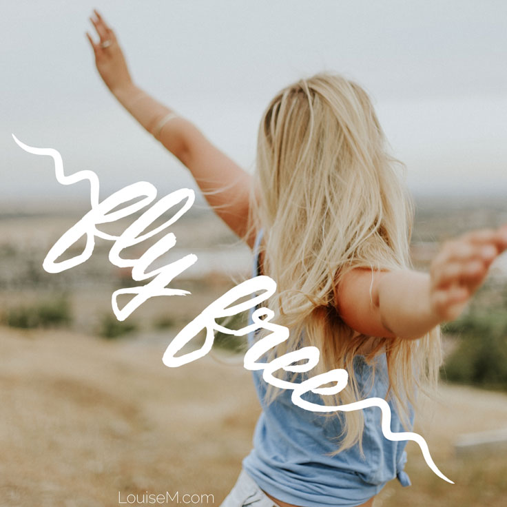 fly free quote image