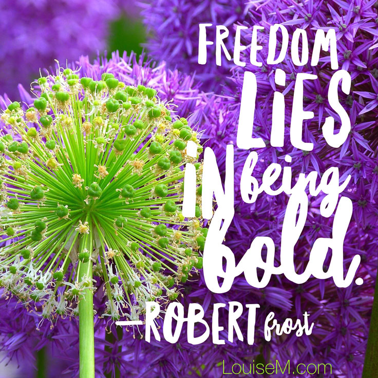 freedom lies in being bold quote image