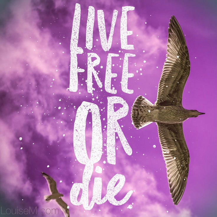 Live free or die quote image