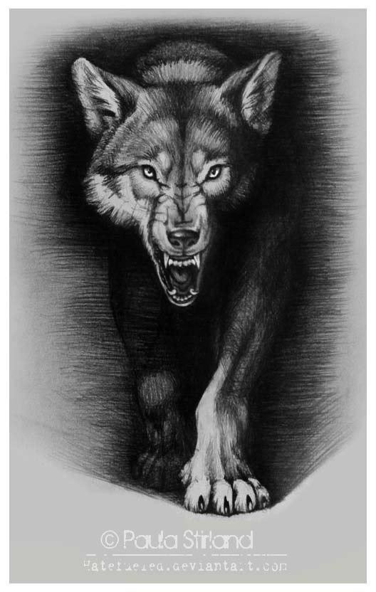 Волчица с волчатами тату эскиз