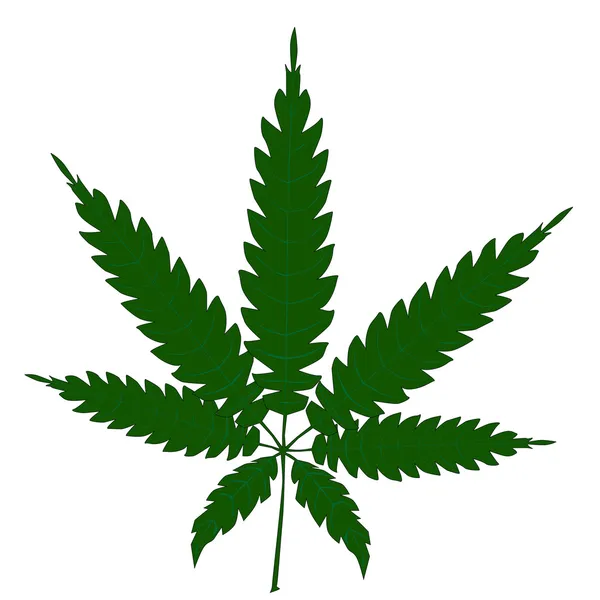 секреты выращивание марихуаны