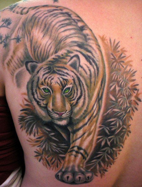 Тигр с открытой пастью тату значение: Значение тату Тигр. Татуировки