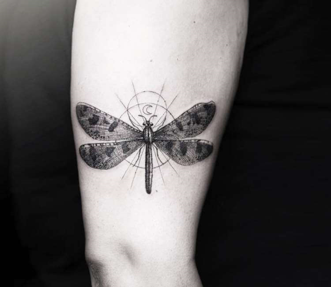 Татуировка стрекозы в дотворке