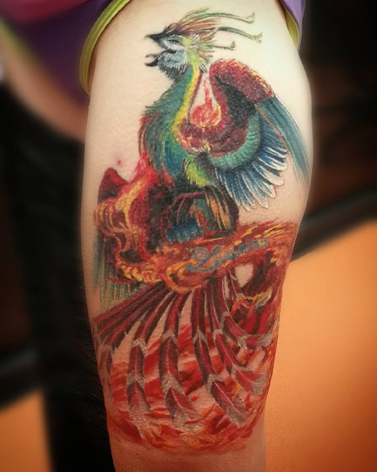 ΠΡΠΈΡΠ° ΡΠ΅Π½ΠΈΠΊΡ Π½Π° ΠΏΠ»Π΅ΡΠ΅