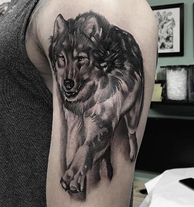 Волк в прыжке