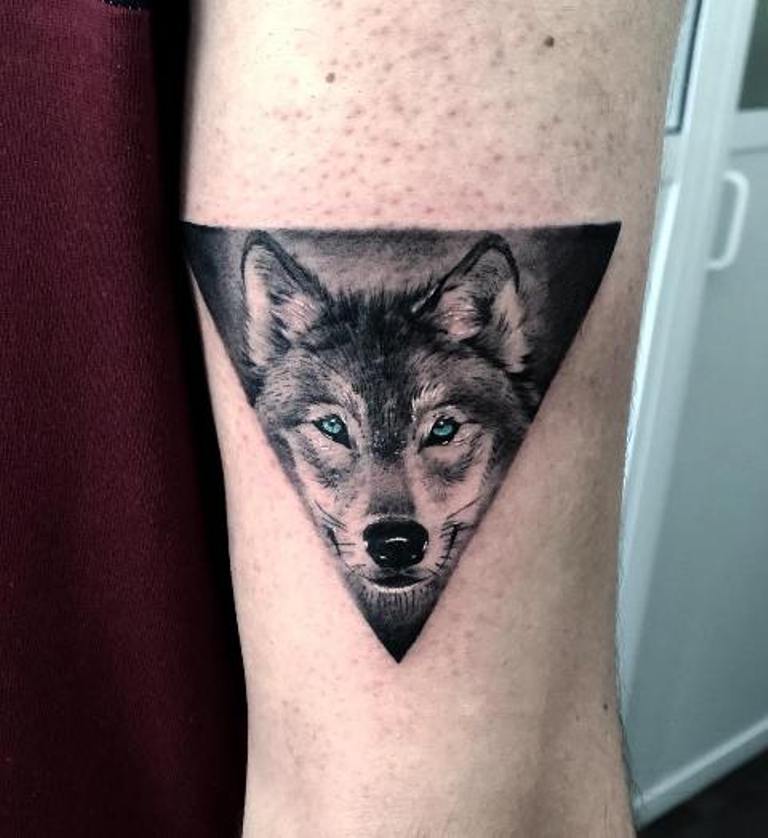 Голова волка