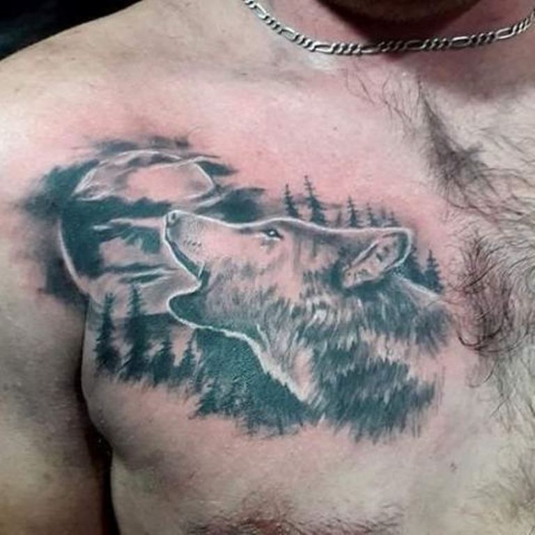 Волк, воющий на луну