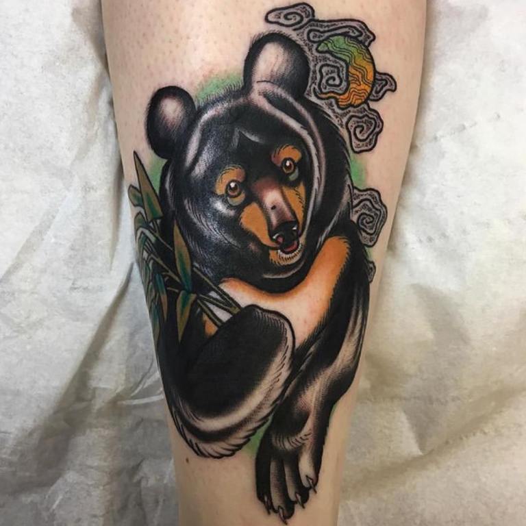 голова медведя