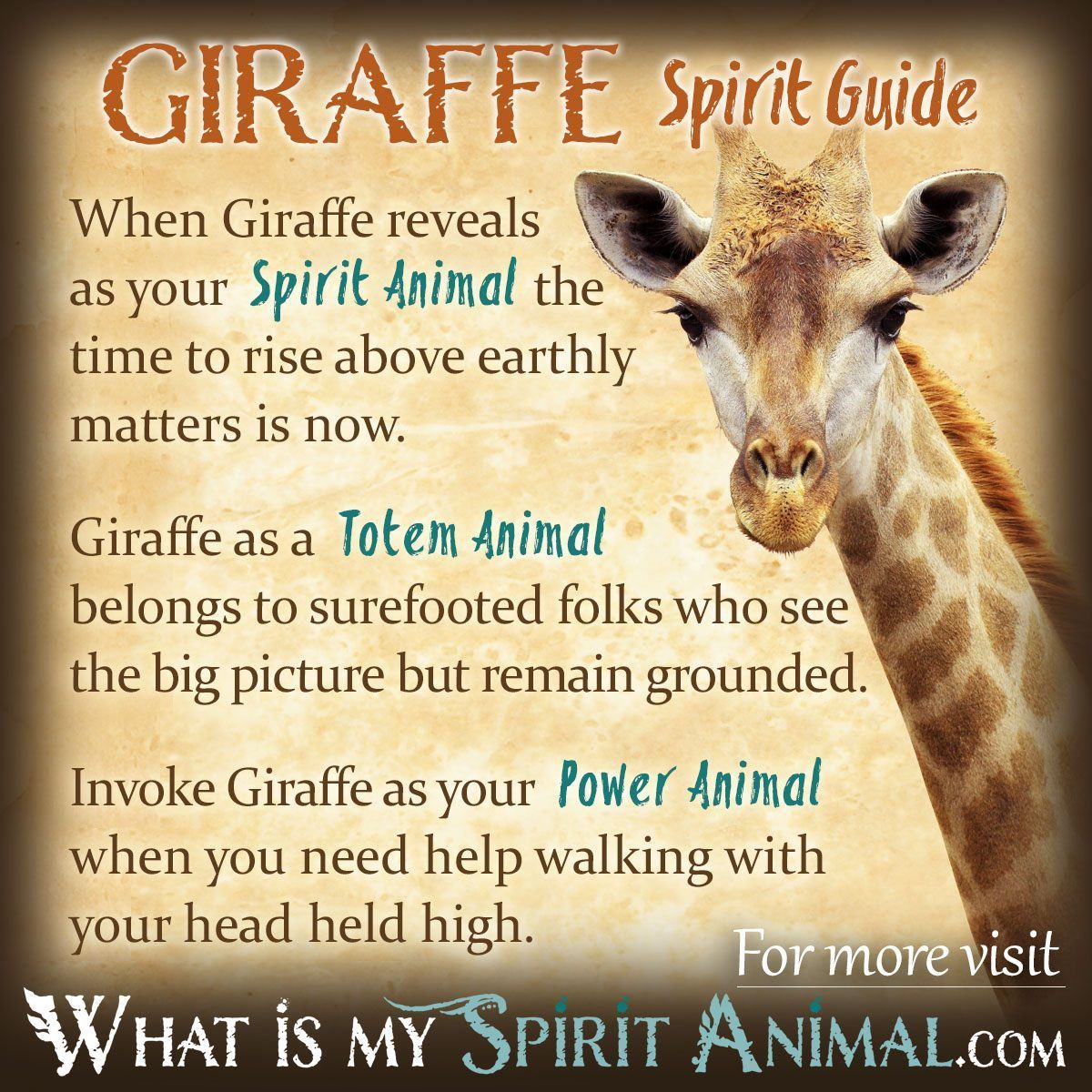 Giraffe Spirit Totem Power Animal Symbolism Meaning 1200x1200